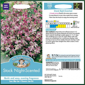 Stock Night Scented